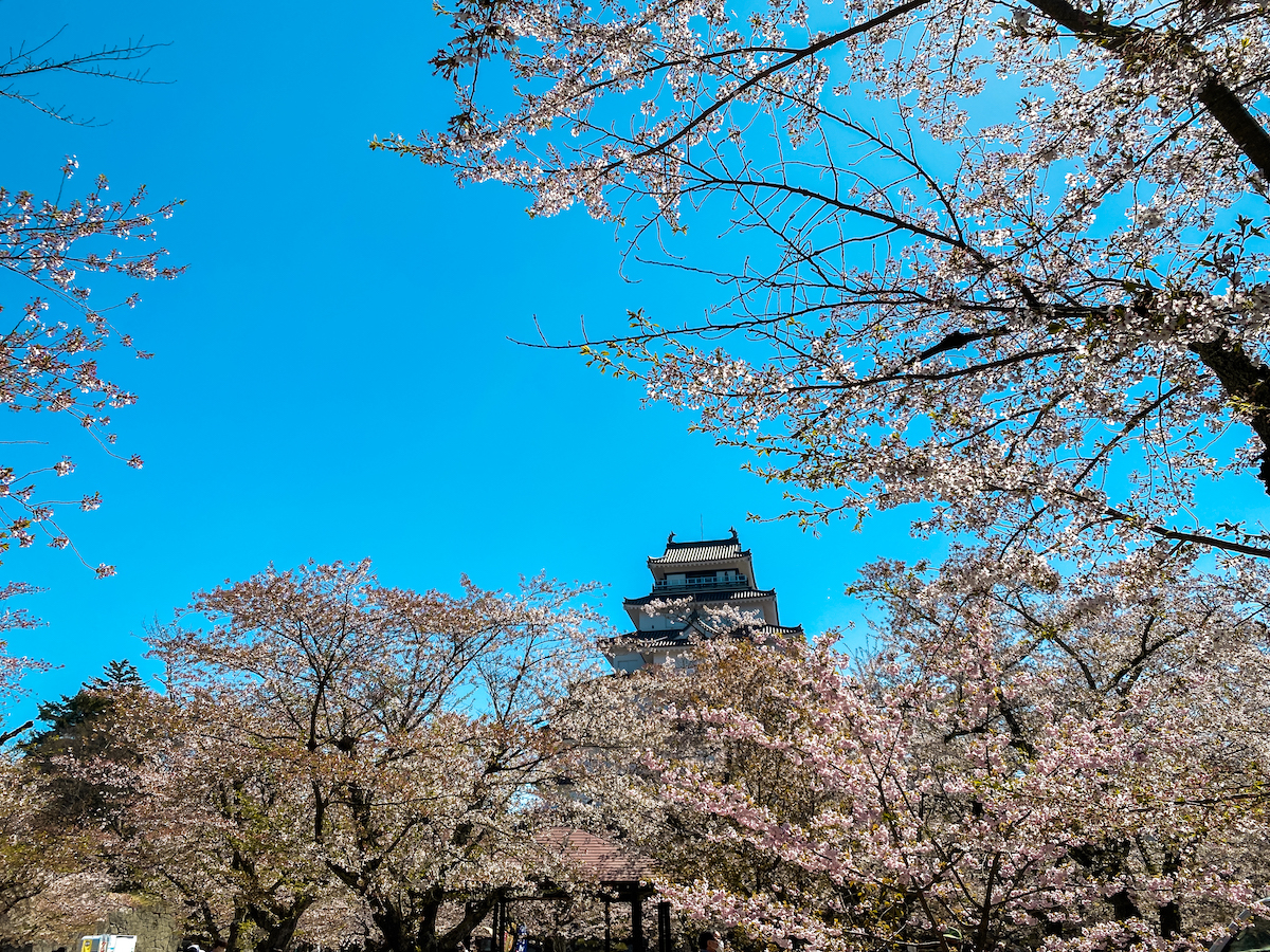 5D4N Japan Itinerary: TOHOKU Area (Sakura Hunting)!
